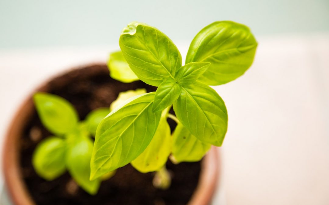 7 Ways Technology Helps Your Nonprofit Grow