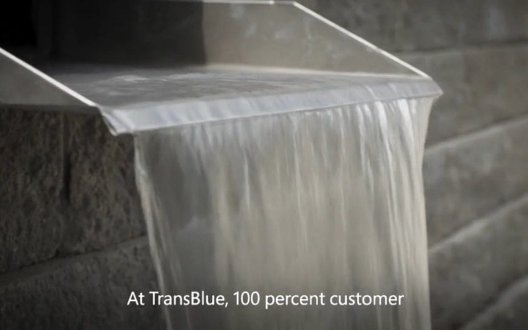 Customer story: TransBlue