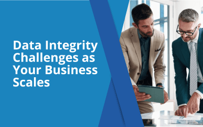 Data Integrity Challenges as Your Business Scales